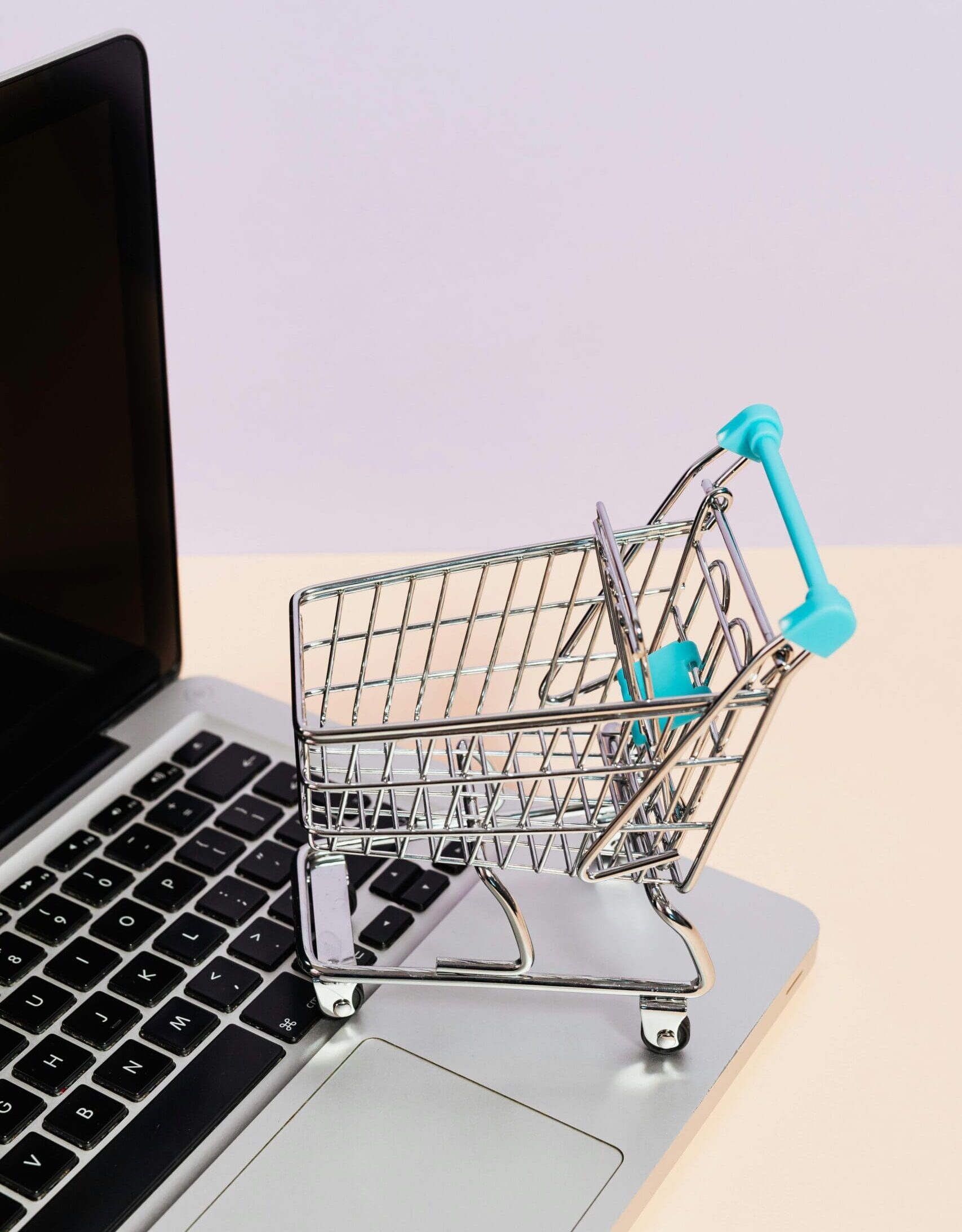 Página Web con Carro de compras 2 creacion y diseño de e-commerce